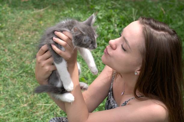 istock Beautiful smiling girl holding a young cat. 837588098