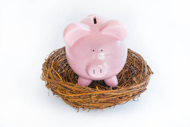istock Piggy Bank in Nest 837590732