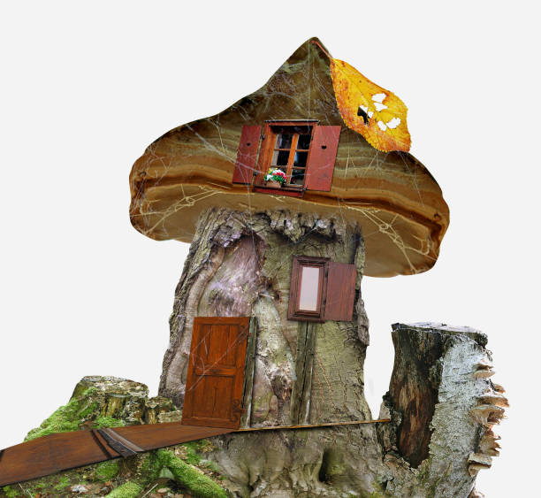 Wooden house for dwarfs. 3d illustration