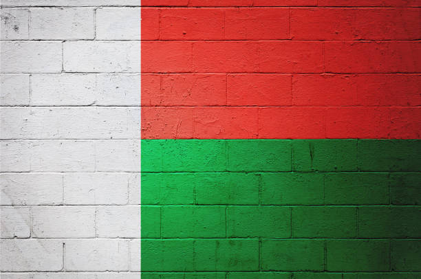 istock Flag of Madagascar painted on a wall 837600582