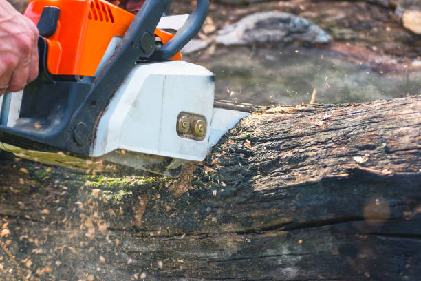 istock Man is sawing a chain saw 837604528