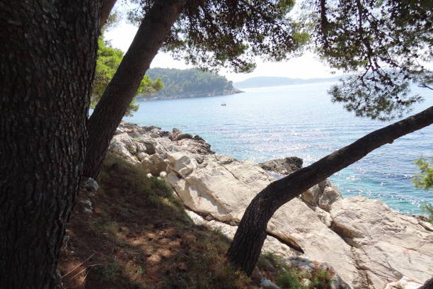 istock rocks at the seaside in Cavtat 837606324