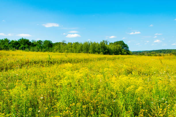 istock Beautiful rural landscape 837614456