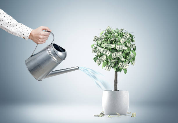 istock Businessman s hand watering a dollar tree 837632002