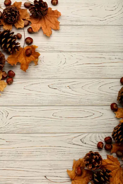 Flat lay frame of autumn leaves, cones and nuts on a wooden background. Selective focus.