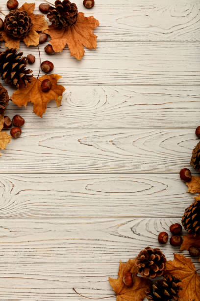 плоская кладка из осенних листьев, конусов и орехов на деревянном фоне. - entablature стоковые фото и изображения