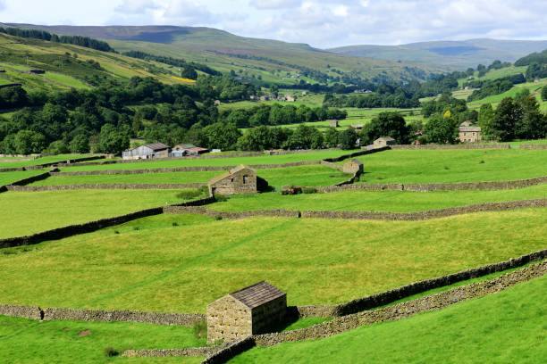 istock Dry stone walls at Gunnerside 837641370