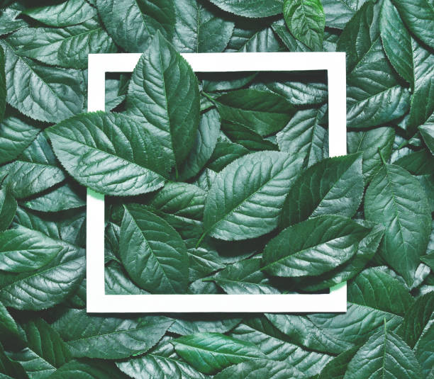 istock Creative layout made of leaves with paper card note. Flat lay. Nature concept 837648510