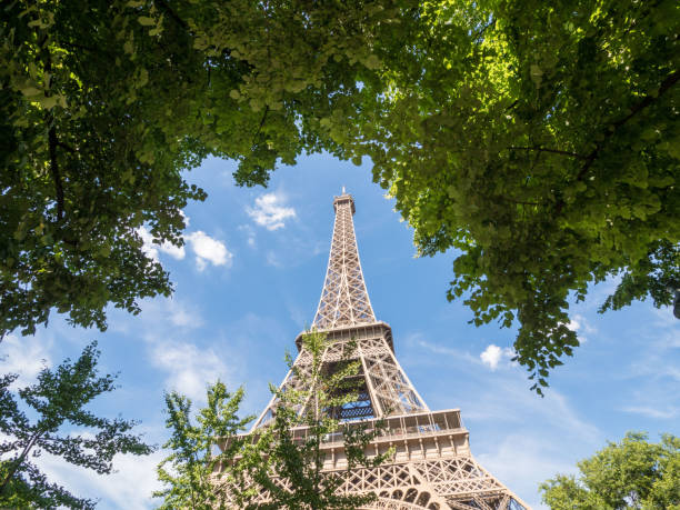 istock The Eiffel tower in Paris on a background of blue sky and tree leaves, big plane. 837662540