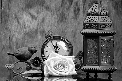 A still life of a Lamp and an artistic clock with fruits and flowers in black and white