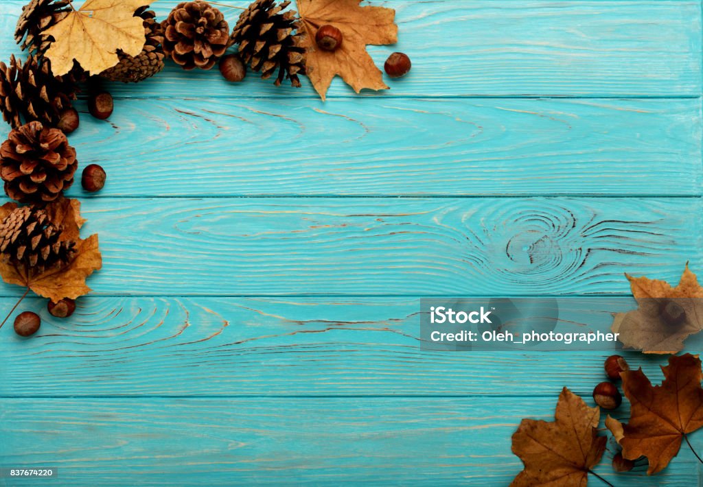 Flat lay frame of autumn leaves, cones and nuts on a wooden background of azure color. Flat lay frame of autumn leaves, cones and nuts on a wooden background of azure color. Selective focus. September Stock Photo