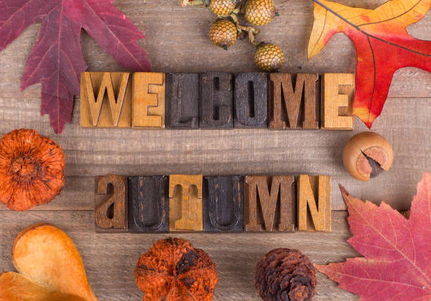 istock Welcome Autumn Sign 837674234