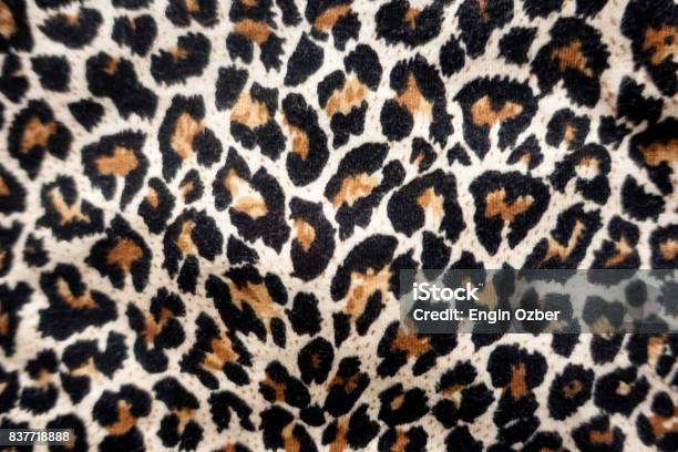 Leopard Fabric Stock Photo - Download Image Now - Animal, Animal Pattern, Backgrounds - iStock Leopard Fabric Stock Photo - Download Image Now - Animal, Animal Pattern, Backgrounds - iStock