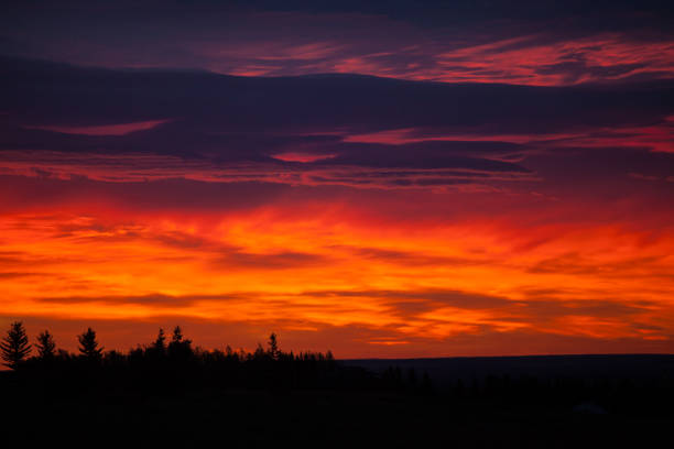 istock Colorful sky at sunrise with silhouetted trees 837719124