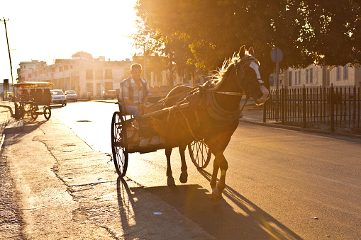 Afternoon on the street on Havana, Cuba. Horse drawn cargo carriage is still in use in the city, delivering local merchandise and and products in the city. Photographed Jan 3, 2013.