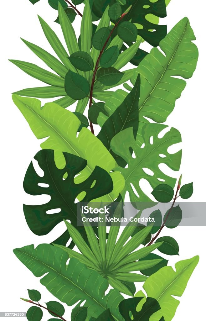 몬스 테라, 바나나, 무화과나무와 손목의 원활한 테두리 나뭇잎 - 로열티 프리 잎 벡터 아트