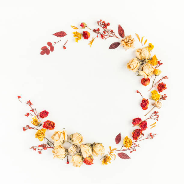 가 만든 화 환 잎 꽃 평면 위치 최고 보기 가을에 대한 스톡 사진 및 기타 이미지 - 가을, 꽃-식물, 흰색 배경 - Istock