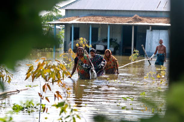 Floods Devastate A Third of Bangladesh Aid groups warn of serious humanitarian crisis as almost half of Bangladesh had gone under flood water, forcing millions of people to flee their homes for shelters. In the photos taken from Shibaloy in Manikganj district, almost all the houses in the village are submerged leaving many people marooned on August 20, 2017. Farmers are bearing the brunt of the ongoing flooding as the country’s agriculture department estimated rice and other crops cultivated in half a million hectares of land in 34 districts, out of 64, were washed away. bangladesh photos stock pictures, royalty-free photos & images