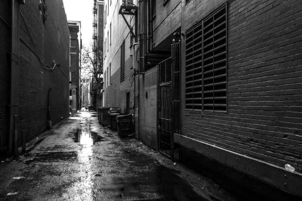 istock Dark alleys - Denver, Colorado 837805204