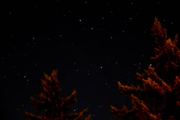 istock Inspiration in the Night Sky 837827384