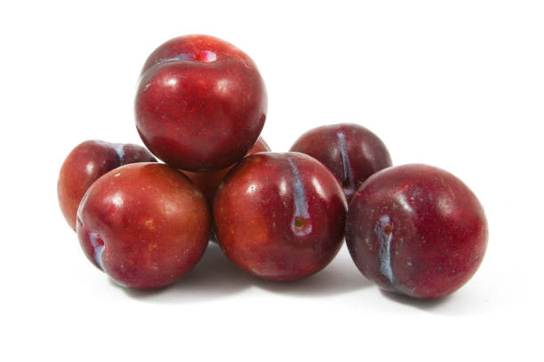 istock ripe purple cherry plums isolated on white 837827588
