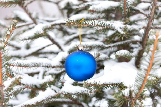 istock Chrismas ball on the christmas tree branch. 837829694