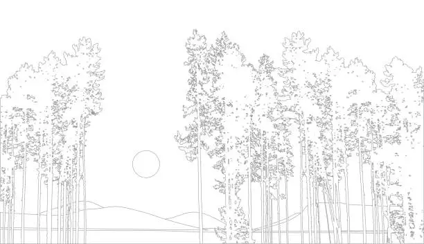 Vector illustration of Forest Pines