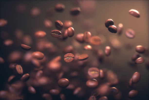 grãos de café torrados  - molécula de cafeína - fotografias e filmes do acervo