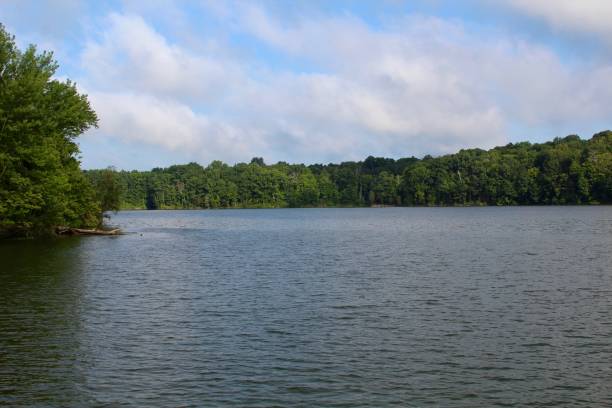 istock Lake on Sunny Summer Day 837848690