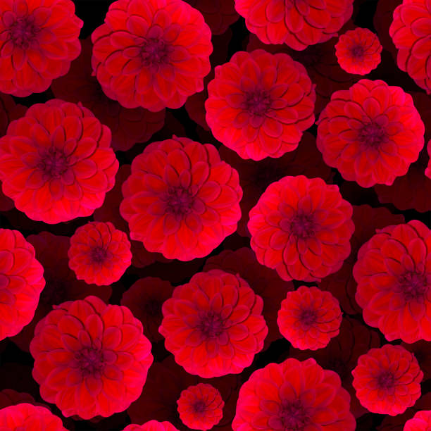 Dahlia Red pattern seamless. Beautiful flower background