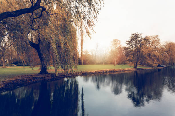istock sunset near lake 837860948