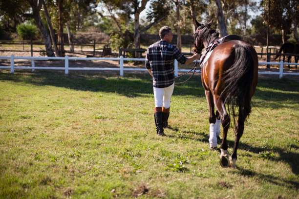 istock Man walking with horse in the ranch 837867166