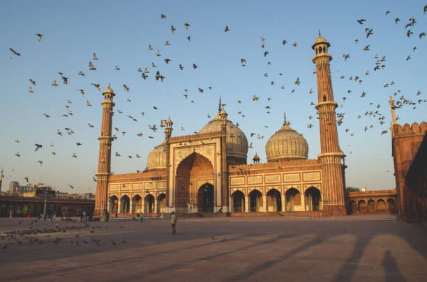 la mosquée jama masjid - india delhi old delhi mosque photos et images de collection