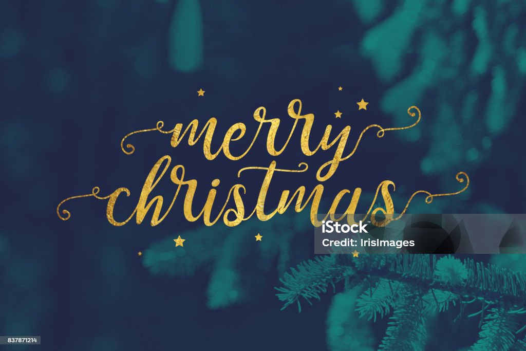 Merry Christmas Script with Evergreen Branches Background Gold Merry Christmas Script and Stars with Evergreen Branches Background Christmas Stock Photo