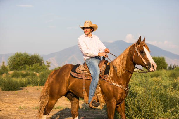 Cowboy A cowboy on a horse looking over his ranch. horseback riding photos stock pictures, royalty-free photos & images