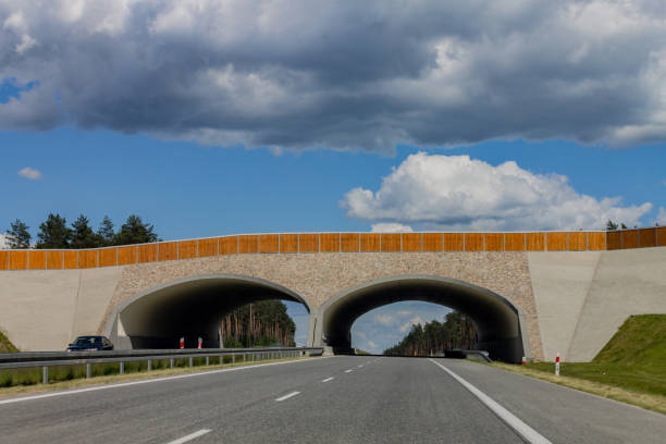 istock Autopista Wolnosci Poland 837887838