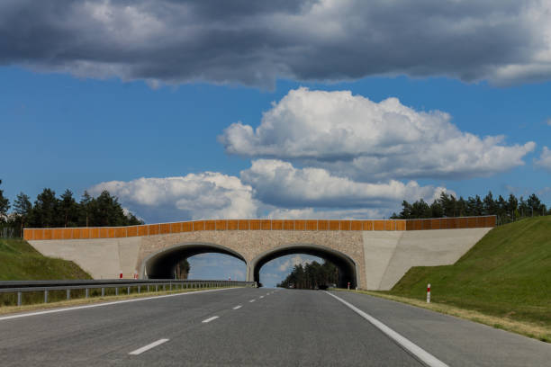 istock Autopista Wolnosci Poland 837889272