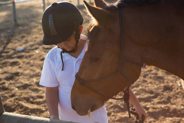 istock Boy feeding the horse in the ranch 837902862