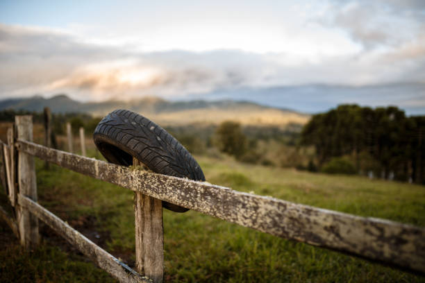 A tire in a fence landscape scene