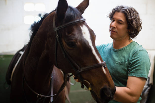 istock Man caressing the brown horse in the stable 837903828