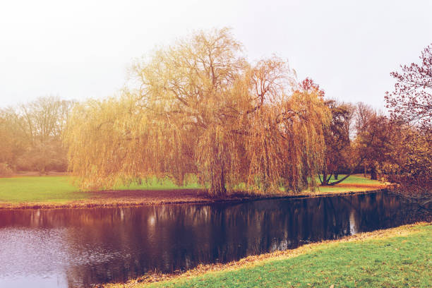 istock sunset near lake 837917902