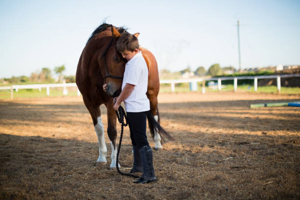 istock Rider boy caressing a horse in the ranch 837937146