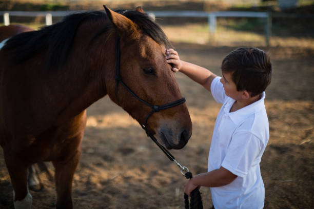 istock Rider boy caressing a horse in the ranch 837937208