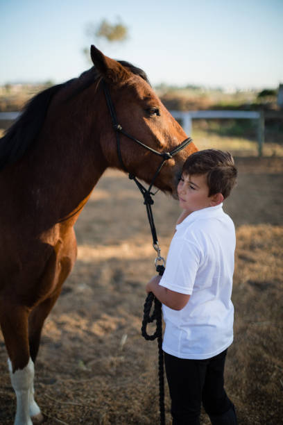 istock Rider boy caressing a horse in the ranch 837937264
