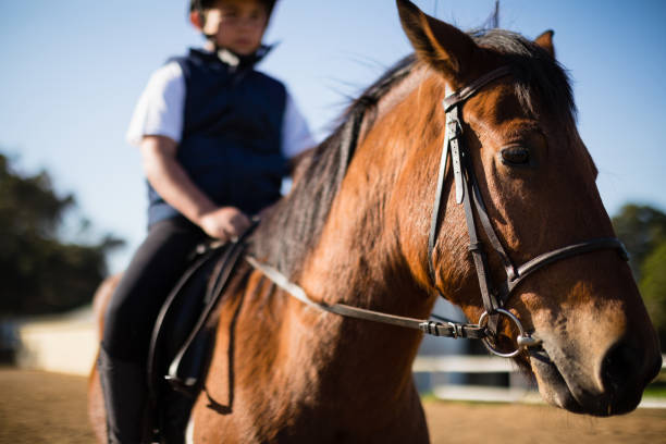 istock Boy riding a horse in the ranch 837963514