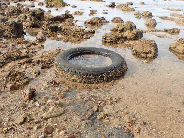 istock Old rubber tire in the rock beach 837963684