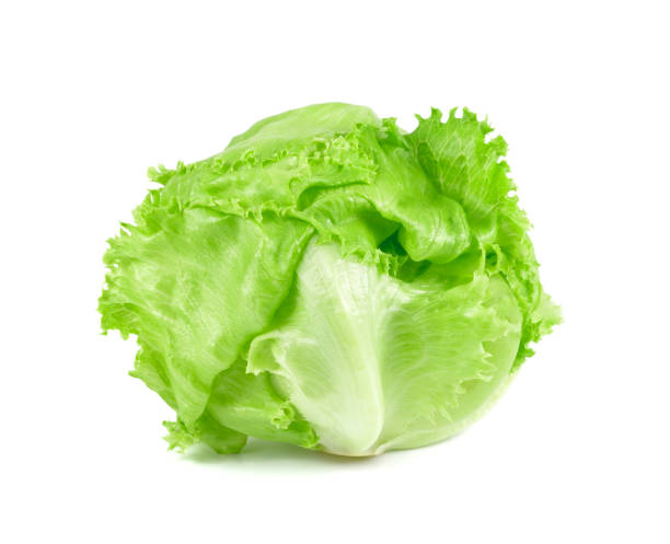 grüner salat auf weißem hintergrund, frischer kohl isoliert, baby cos - salat stock-fotos und bilder
