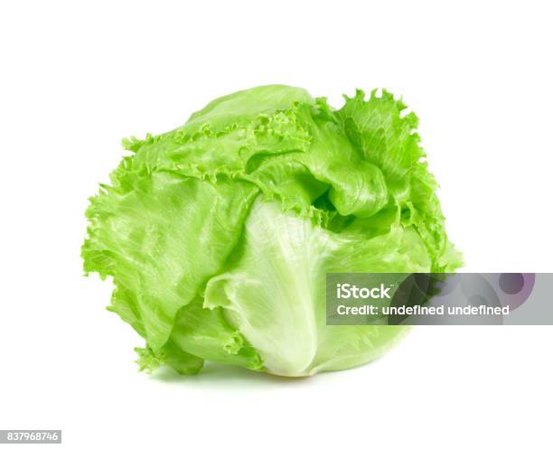 Green Iceberg Lettuce On White Background Fresh Cabbage Isolated Baby Cos Stock Photo - Download Image Now