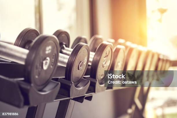 Rows Of Dumbbells In The Gym With Sunlight Stock Photo - Download Image Now - Gym, Weights, Health Club