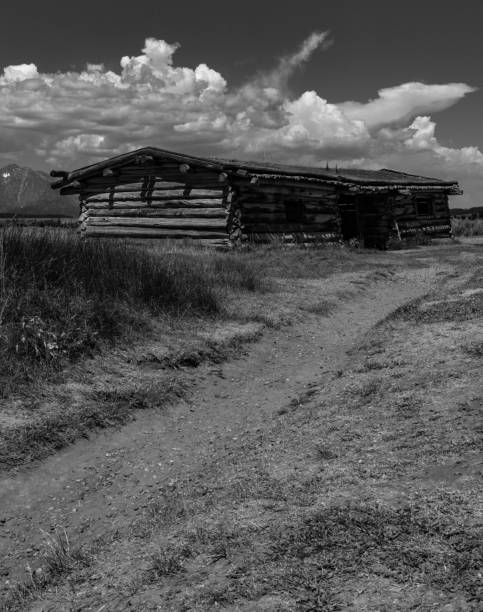istock Dirt road leading to a log cabin 837989624